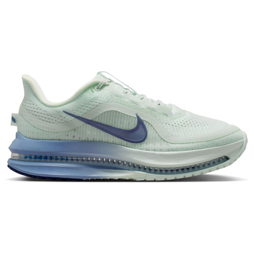 Nike Pegasus Premium W